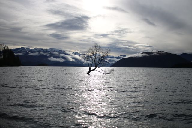 This image features a solitary tree standing in the middle of a lake with a stunning backdrop of majestic mountains under a dramatic, cloudy sky at sunset. Ideal for use in projects conveying solitude, tranquility, and natural beauty. Suitable for nature photography collections, travel blogs, relaxation and meditation content, as well as landscape and wildlife documentaries.