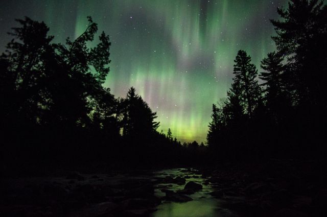 Northern lights illuminating night sky over dense forest and river, with stars visible. Ideal for nature, astronomy, and scenic backgrounds, or promoting travel destinations focused on natural beauty and wilderness experiences.