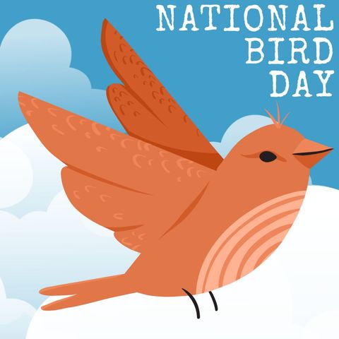 national bird day celebration illustration - Download Free Stock Templates Pikwizard.com