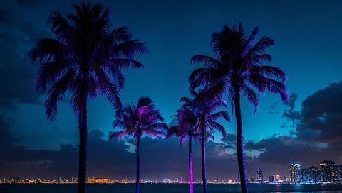 Glowing neon palm silhouettes framing city waterfront night skyline