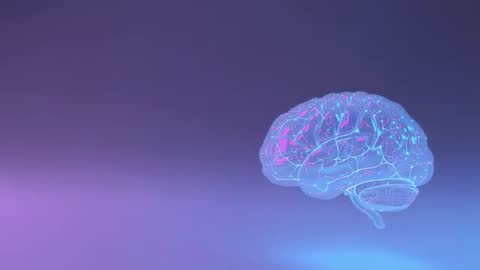 Holographic Brain Rotating with Pulsing Neural Pathways