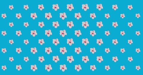 Dynamic Tropical Floral Pattern on Bright Blue Background - Download Free Stock Images Pikwizard.com