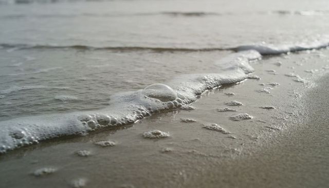 Translucent sea foam bubble on diagonal foam ridge over wet sand shoreline macro