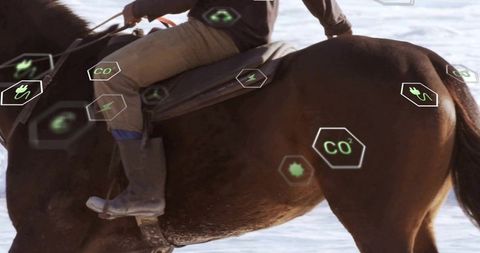 Rider trotting on brown horse along beach with augmented reality eco icons overlay