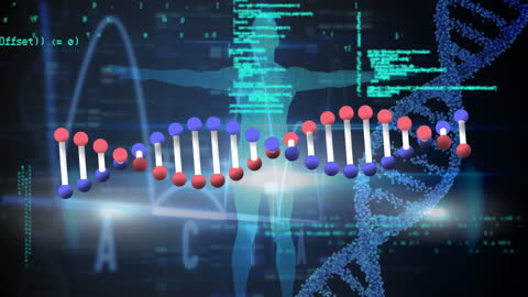 Digital DNA and Human Blueprint Integration