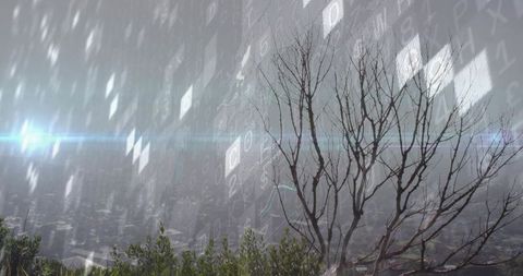 Bare Tree Overlooking Smoggy Cityscape with Digital Overlay