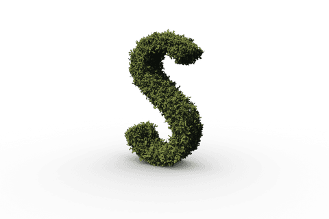 Transparent Letter S Formed by Lush Green Leaves - Download Free Stock Videos Pikwizard.com