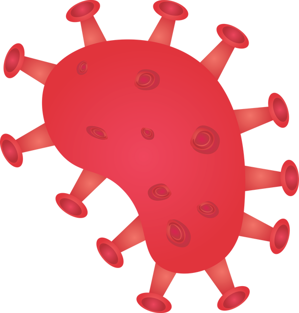 Digital Red Virus Cell on Transparent Background for Health Concept - Download Free Stock Videos Pikwizard.com