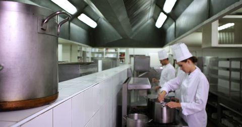 Chefs Preparing Gourmet Dishes in Busy Commercial Kitchen