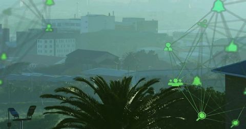 Green Network Overlay on Foggy Urban Cityscape with Palm Tree