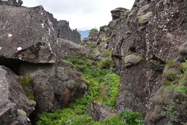 Rocky path winds through moss-covered stone ravine surrounded by lush green vegetation. Ideal for promoting outdoor adventures, hiking, and travel blogs. Highlights untouched natural beauty and serene landscapes, perfect for use in environmental and travel magazines or websites.