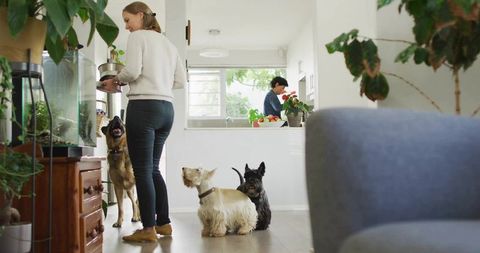 Woman Holding Potted Plant in Pet-Friendly Modern Interior