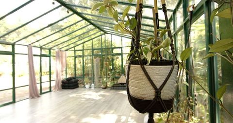 Serene Greenhouse Yoga Studio with Natural Light and Hanging Plant