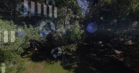 Drone aerial showing woodland canopy casting dappled shade with augmented reality analytics overlay