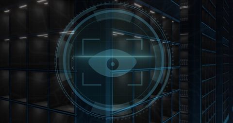 Digital Interface with Virtual Eye on Data Servers