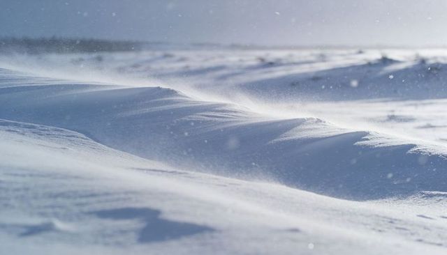 Wind-sculpting Snowdrifts on Arctic Tundra, Blowing Snowflakes and Soft Blue Light