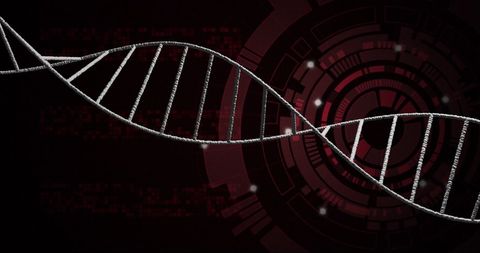 DNA Strand Over Digital Interface Representing Data Processing - Download Free Stock Images Pikwizard.com