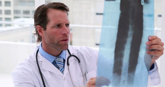 Experienced Doctor Examining Spine X-Ray in Modern Medical Office - Download Free Stock Images Pikwizard.com