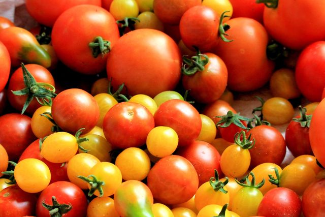 Assorted Fresh Tomatoes in Vibrant Colors - Download Free Stock Photos Pikwizard.com