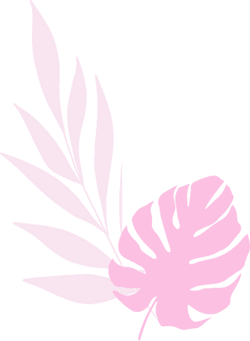 minimalistic pink monstera leaf illustration on transparent background - Download Free Stock Videos Pikwizard.com