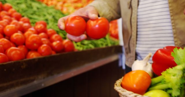 Person choosing fresh tomatoes in vegetable market - Download Free Stock Images Pikwizard.com