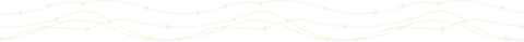 Seamless White Wavy Line Dividers on Transparent Background - Download Free Stock Videos Pikwizard.com