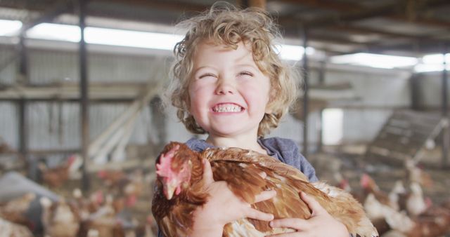 A smiling young child with curly hair joyfully holds a chicken inside a farm barn. This image captures the innocence and happiness of farm life, ideal for promoting agriculture, animal care, rural lifestyles, traditional farming, family visits to farms, petting zoos, and educational materials on livestock and farming.