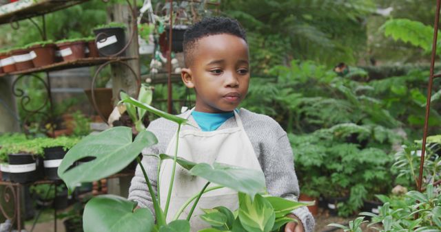 This image captures a young boy gardening in a greenhouse with various plants. It can be used in articles or promotional material related to outdoor activities for children, gardening education, environmental awareness, botany, and nature. It is also suitable for educational content aimed at teaching kids about plants and the benefits of horticulture.