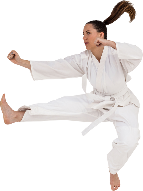 Karate Fighter Exhibiting Dynamic Move in Transparent Gi Outfit - Download Free Stock Videos Pikwizard.com