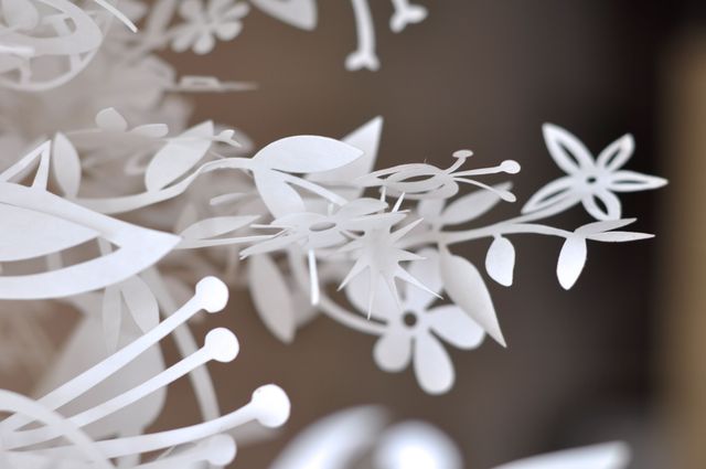 Intricate White Paper Cut Floral Design Close-up - Download Free Stock Photos Pikwizard.com