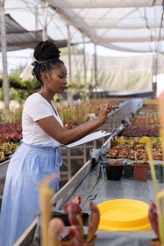 African american woman inspecting propagation trays in greenhouse nursery with clipboard