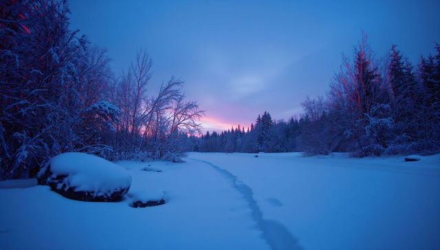 Twilight blue hour snowfield with footprint trail leading through frosted forest at sunset