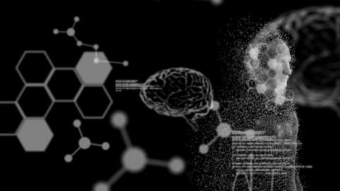 Digital Human Model with Scientific Data Visualization