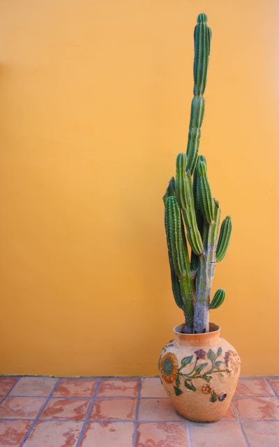 Tall green cactus in a decorative pot stands against a vibrant yellow wall. Suitable for themes related to plant care, home decor, interior design, nature, and botanical elements. This image can be used in gardening magazines, home improvement blogs, and wellness websites to bring a touch of organic and eclectic beauty.