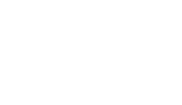 Transparent Silhouette of Female Athlete Using Exercise Ball - Download Free Stock Videos Pikwizard.com