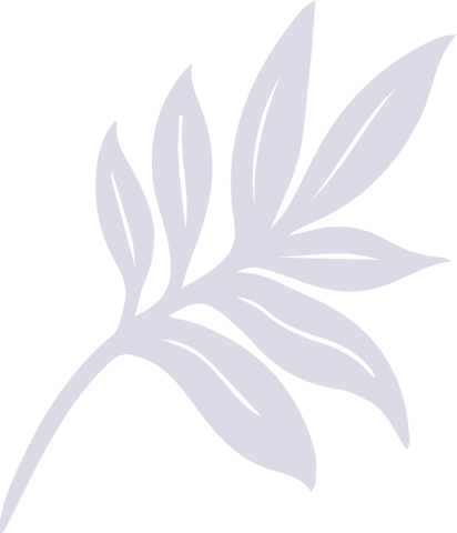 Minimalistic botanical branch illustration on transparent background