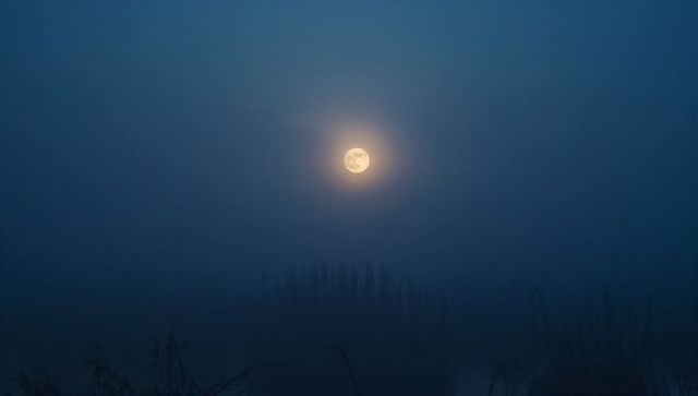 Glowing Full Moon Over Misty Marsh with Reed Silhouettes, Tranquil Moonlit Wetlands