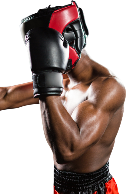 Boxer in Red Velvet Gear Practicing Protective Stance with Transparent Background - Download Free Stock Videos Pikwizard.com