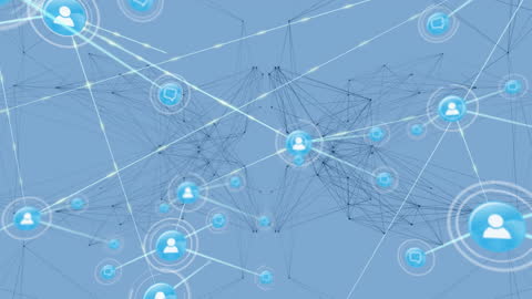 Digital Network Connections and Interfaces