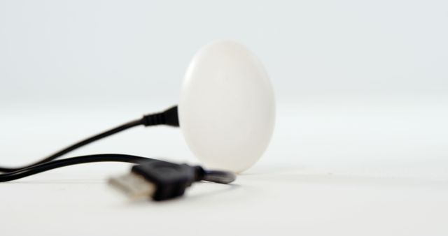 Modern Abstract Egg Shape Connected with USB Cable - Download Free Stock Images Pikwizard.com