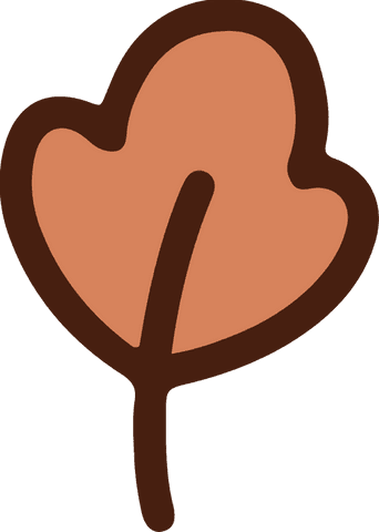 Simple Organic Leaf Illustration on Transparent Background