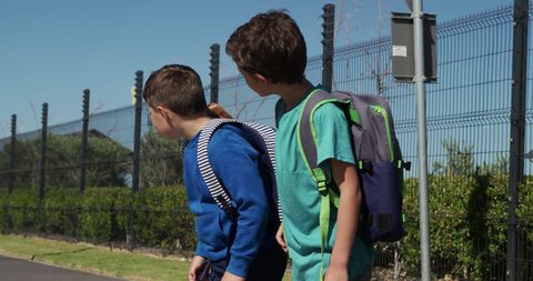 Young boys practicing road safety on clear day