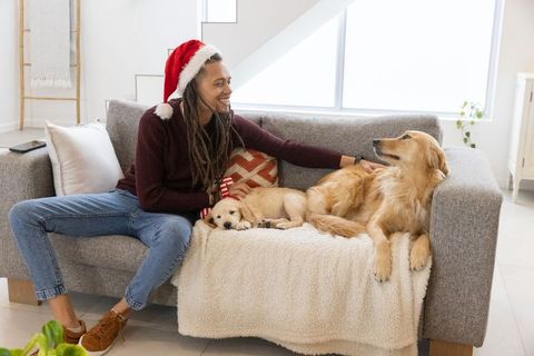 African american man wearing santa hat petting golden retriever and sleeping puppy on sofa