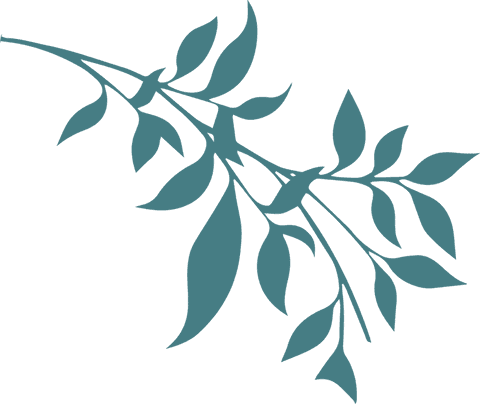 Elegant teal branch illustration on transparent background