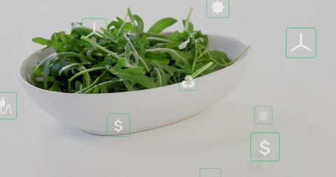 Fresh Organic Arugula with Green Energy Concept Icons