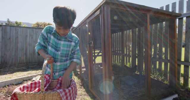 Young Boy Collecting Chicken Eggs in Farmyard - Download Free Stock Images Pikwizard.com