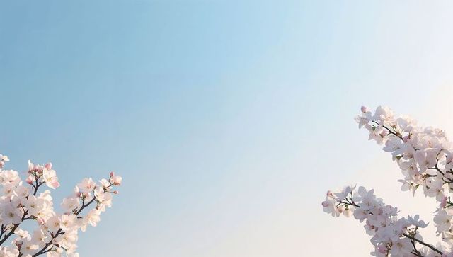 Delicate cherry blossom branches framing clear pastel spring sky minimal floral background