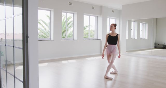 Ballerina Practicing in Sunlit Studio with Palm Tree View - Download Free Stock Images Pikwizard.com