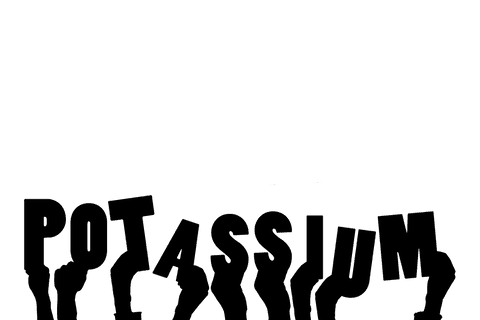 Transparent digital illustration of hands with potassium text