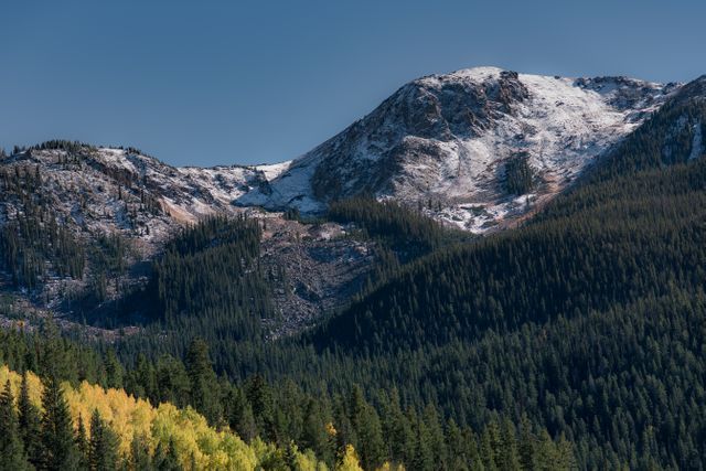 Snow-Capped Mountain Peaks with Dense Coniferous Forest in Autumn - Download Free Stock Photos Pikwizard.com